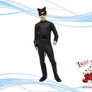 chat noir (miracolous)